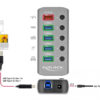DELOCK USB hub 63262 με διακόπτες, 5x θυρών, 5Gbps, 2.4A, γκρι