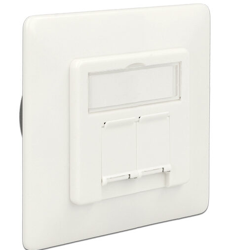 DELOCK Modular Wall Outlet Δικτύου, Cat.6A, 2x LSA, 2 Port